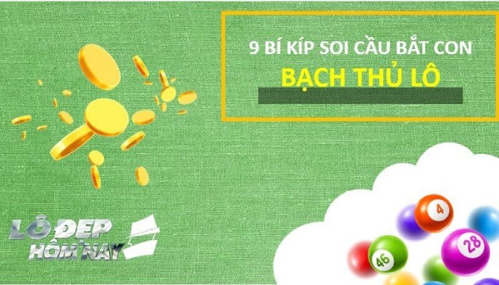 Bạch thủ lô Miền Bắc là gì? Cách soi cầu bắt con lô bạch thủ duy nhất